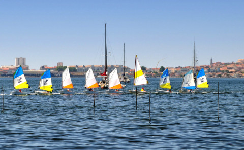 ADHERENTS CLUB SPORTIF OPTIMIST DEPARTEMENTAL/LIGUE - 1 JOUR PAR SEMAINE