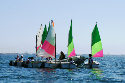 ADHERENTS CLUB SPORTIF OPTIMIST DEPARTEMENTAL/LIGUE  - 2 JOURS PAR SEMAINE - MERCREDI ET VENDREDI